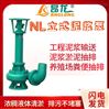 单级单吸泥浆泵 NL型杂质污水泥浆水泵