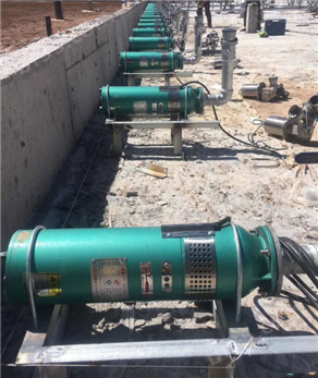 水浸式潜水电泵 QSP系列喷泉专用潜水泵