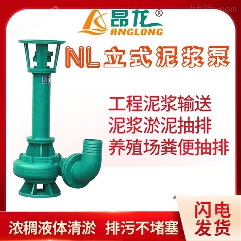 大功率泥浆泵 NL150-15立式污水泵