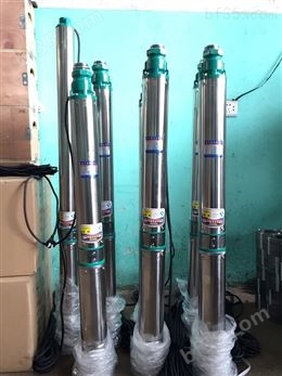 QJ不锈钢机筒潜水电泵油浸式电机食品级白油