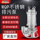 大功率全铜电机排污泵 WQP工厂排污污水泵