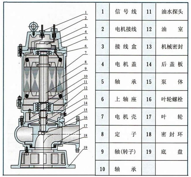 WQ排污泵結構圖.jpg