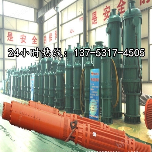 BQS120-50-30/N防爆排污排沙潜水电泵*黔西州