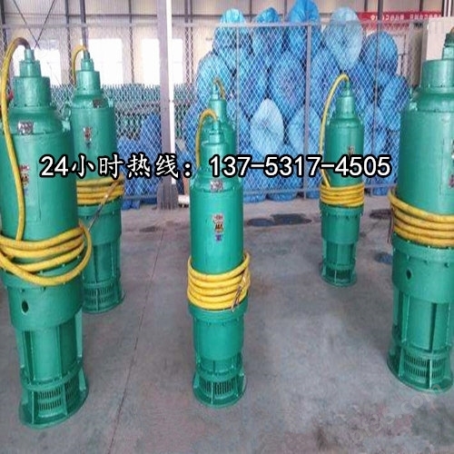 BQS150-20-22/N矿用潜水立式排污泵*张掖