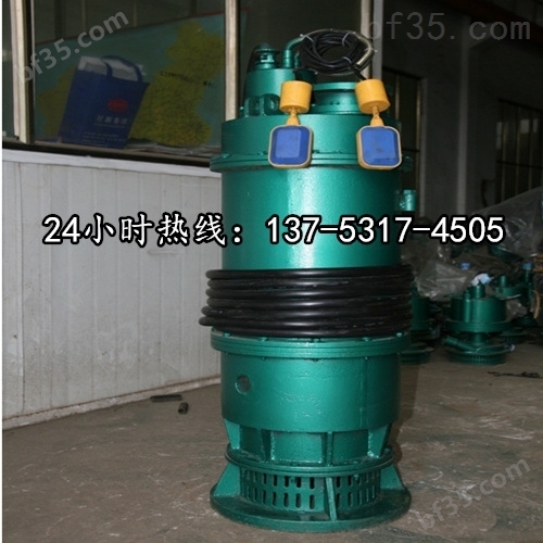 潜水排沙泵原理-用途BQS80-20-11/N淮安市品牌