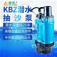 立式小型渣浆泵可定制415v/440v/660v